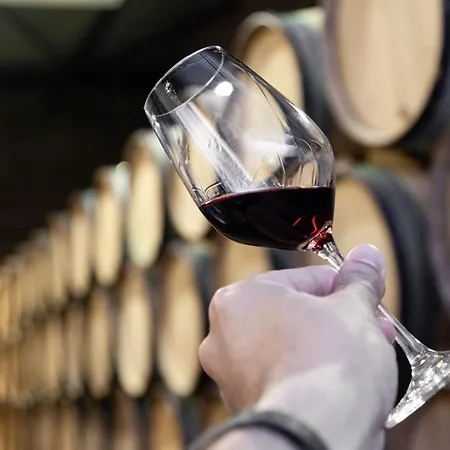 Boavista Prime Daire *